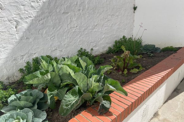 6 residencia escolar tarifa.jpgjpg 6 residencia escolar tarifa.jpgjpg